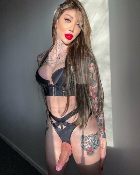 moscardiniema estrella de alta calidad archivo