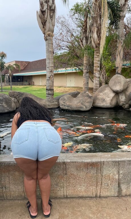 Your Fav Aqua modelo adulto fotos