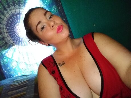 DumpDivaPinky modelo libre recopilación