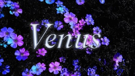 Venus Fantasy_ estrella imágenes