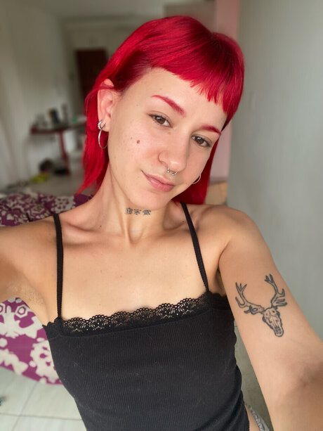 Delfi_ estrella adulta archivo