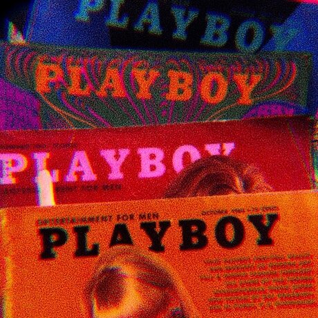 L koi estrella porno del sexo foto