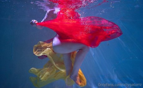 allygatorrz arte estrella porno recopilación