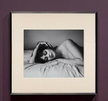 Everestthemountain modelo libre imágenes