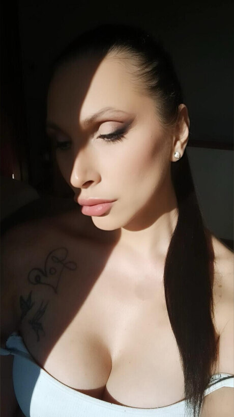 S A_ modelo mejor recopilación