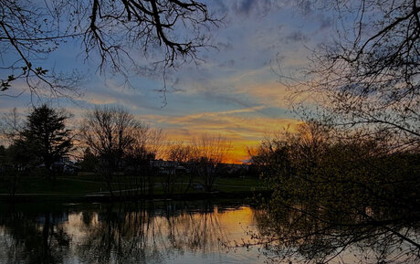 Natalie Presley actriz libre galería