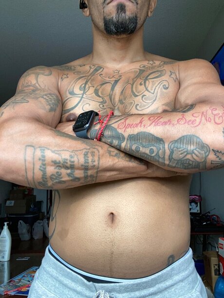 Jaybully modelo gratis recopilación