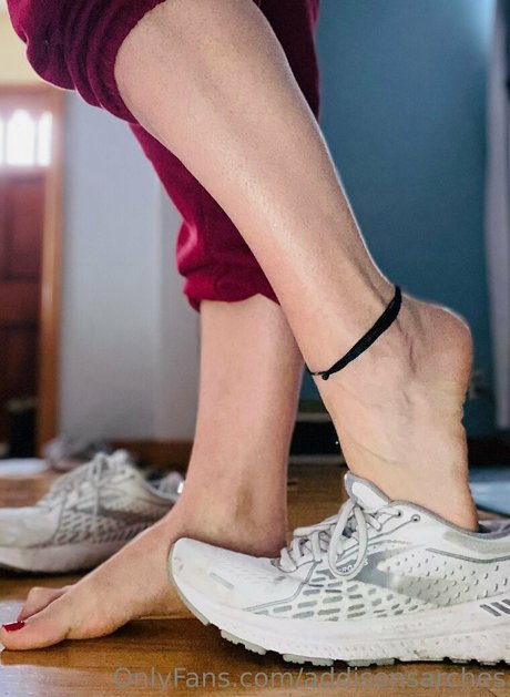 addisonsarches libre de estrellas recopilación