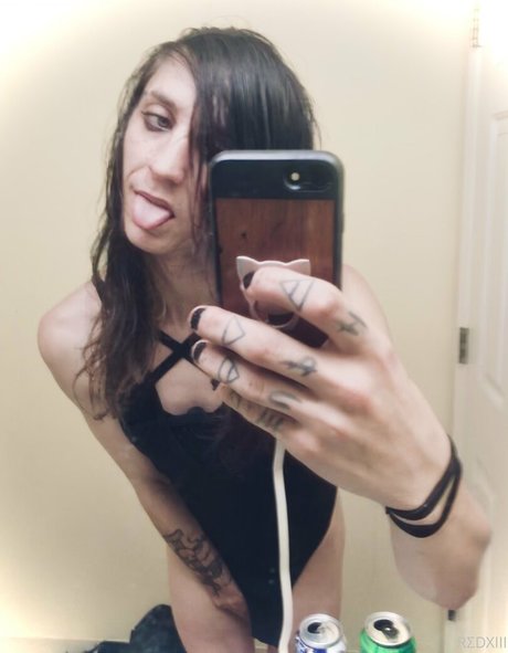 n somnium modelo gratis galería