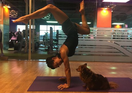 Iliza Shlesinger desnudos estrella porno recopilación