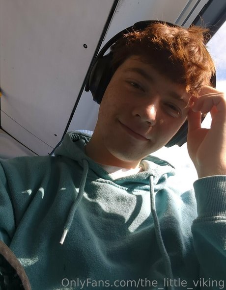 the little viking mejor modelo foto
