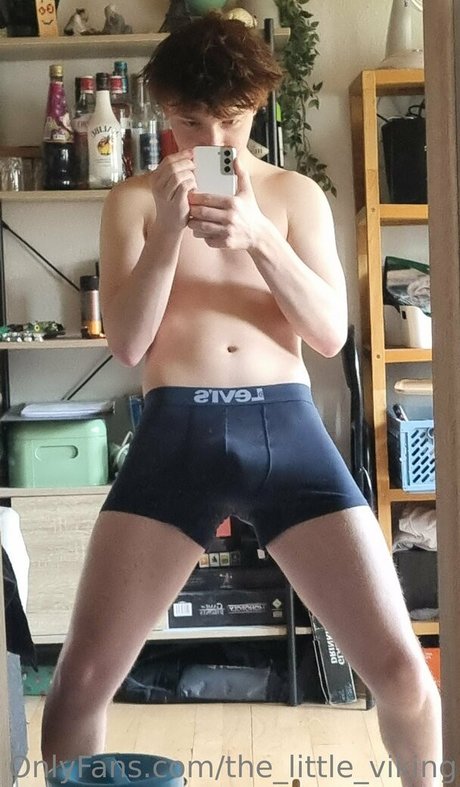 the little viking estrella adulta galería