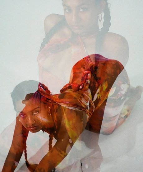 xjaffy estrella perfecta imágenes