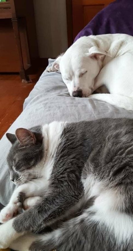 gorgeousgreeneyes estrella porno hd fotos