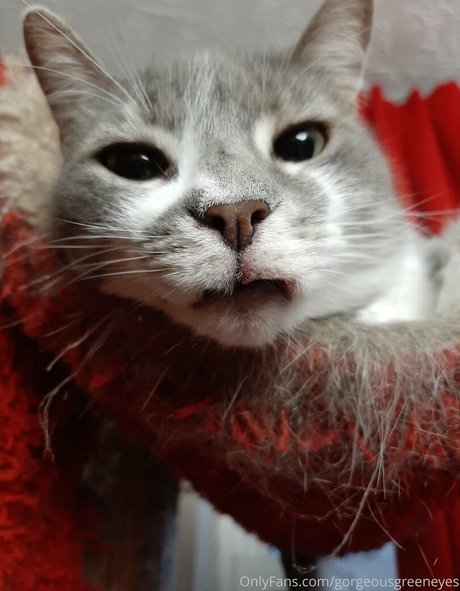 gorgeousgreeneyes estrella caliente foto