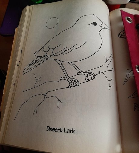 gorgeousgreeneyes modelo mejor galerías