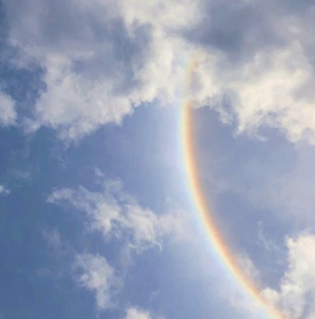 mynameiscat libre de estrellas foto