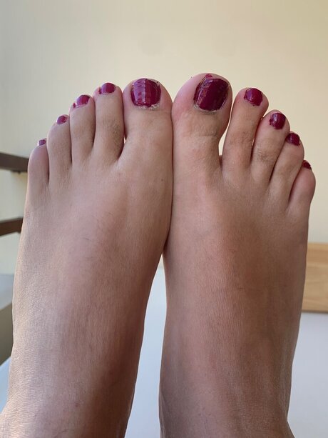 LemonPie modelo de alta definición fotos