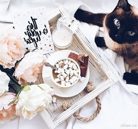 allwene free hermosa actriz galería