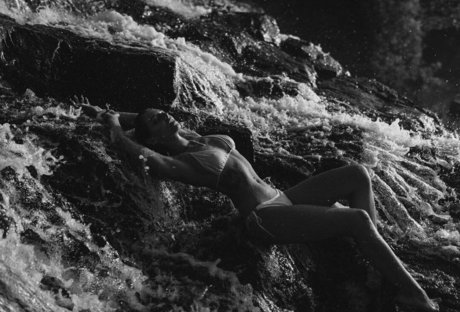 allwene free bonita estrella archivo