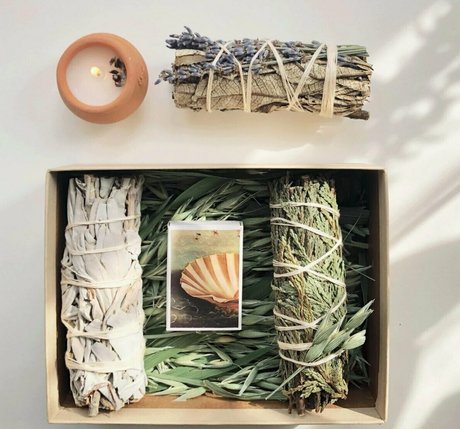 more than palnts desnudos de estrellas recopilación