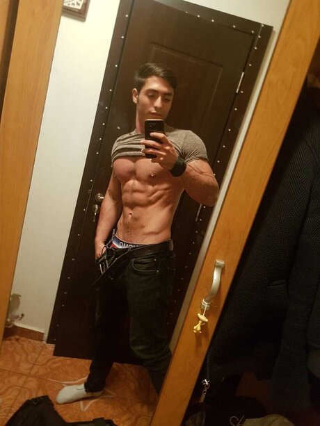 SirLogan modelo hd imagen