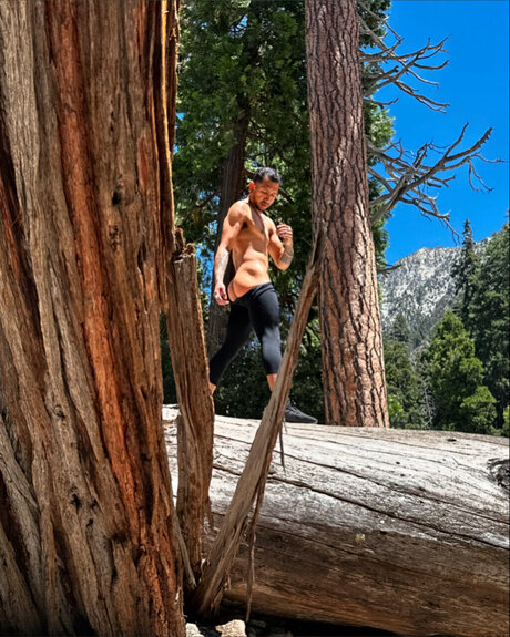 Thesoymeat libre de estrellas galería