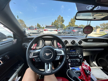 Eleanor arte estelar recopilación