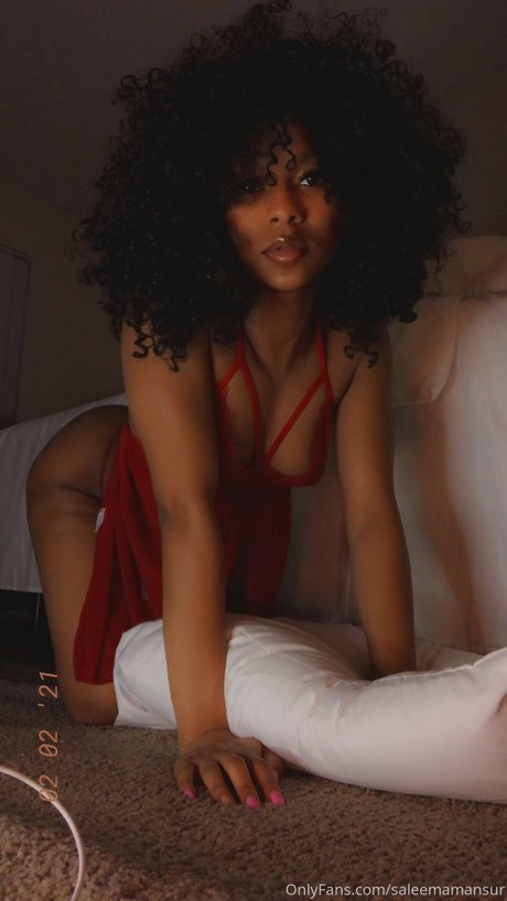 Saleema Mansur mejor modelo archivo