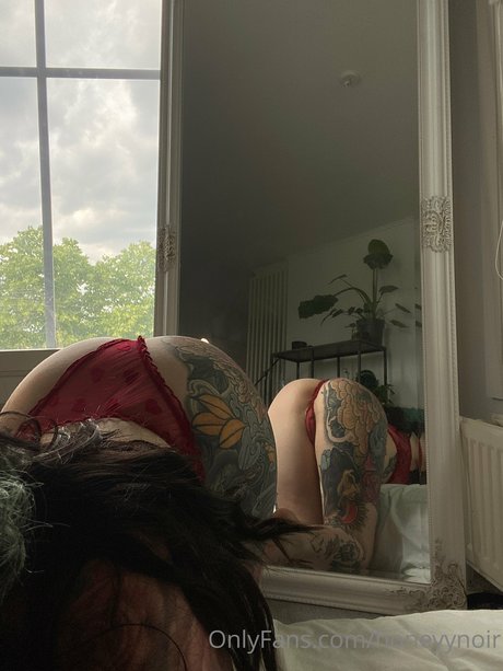 onlyfans de transexuales arriba desnudo fotos