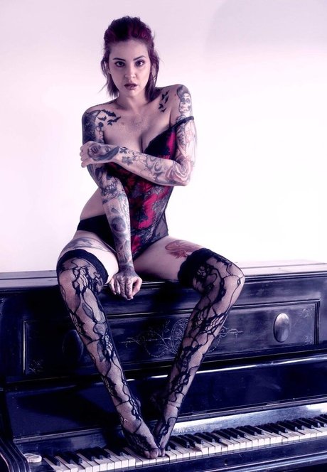 apto solo para fans erótica xxx archivo