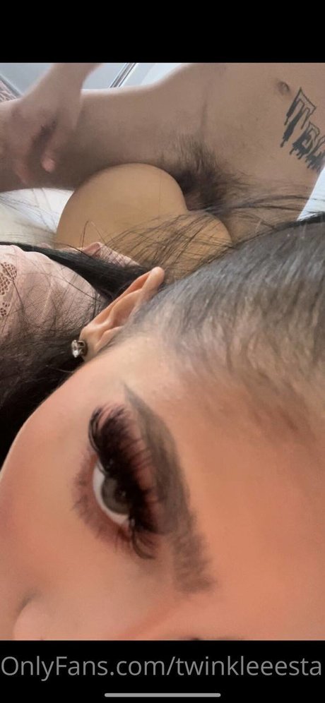 twinkle modelo gratis archivo