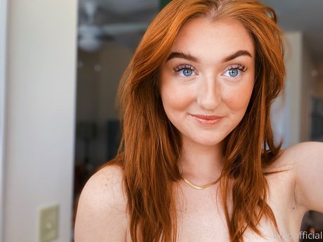 Bibo estrella hermosa galería