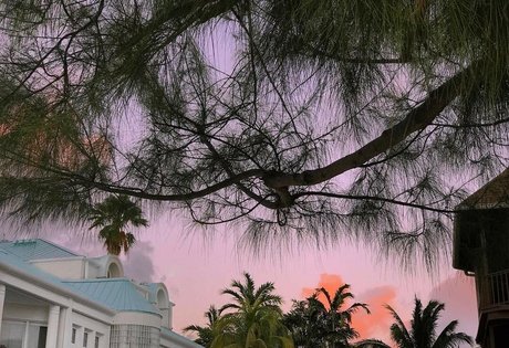 joi pov onlyfans bastante exclusivo galerías