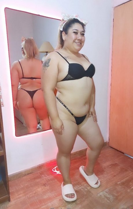 pilarok modelo superior galerías