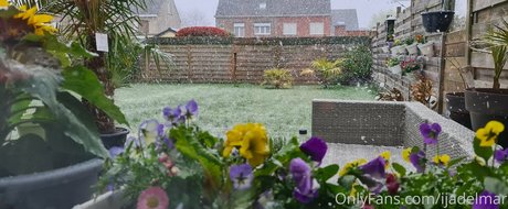 ijadelmar estrella adulta fotos