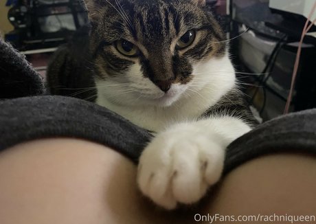 lisasayshello actriz adulta galería