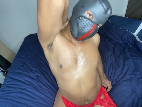 TEZ EROTICA arte estrella porno archivo