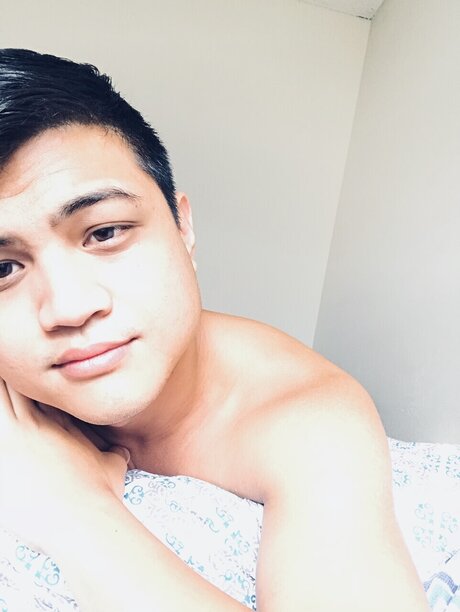 Tampa Twink modelo superior imágenes