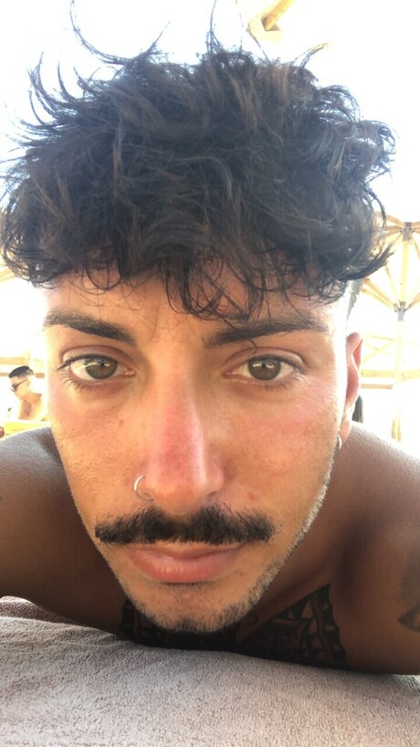 Matt palmiro modelo de alta definición recopilación