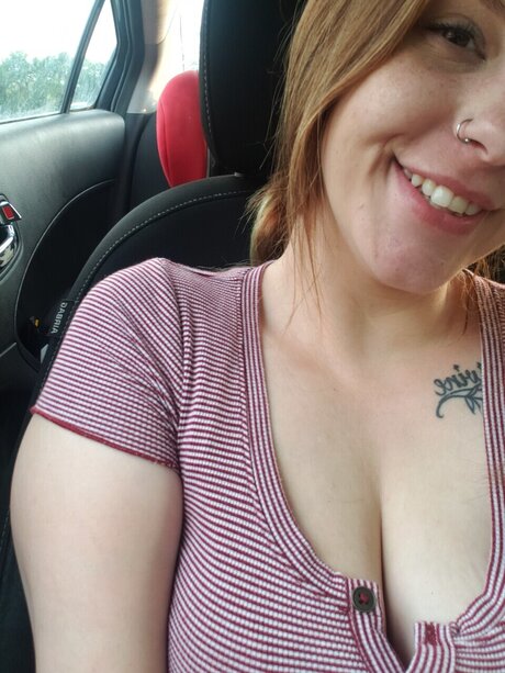 GingerSnap 95 estrella libre foto