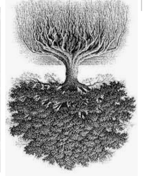 WIZ modelo exclusivo foto