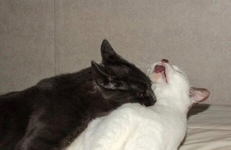 onlyfans flacos porno de alta calidad archivo