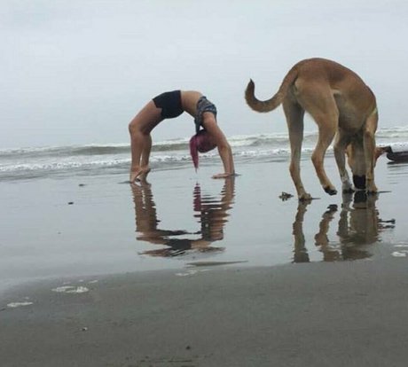 accidentallydelicious estrella porno xxx fotos