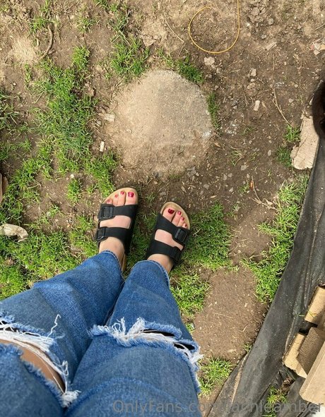 lachleamber buena estrella porno recopilación