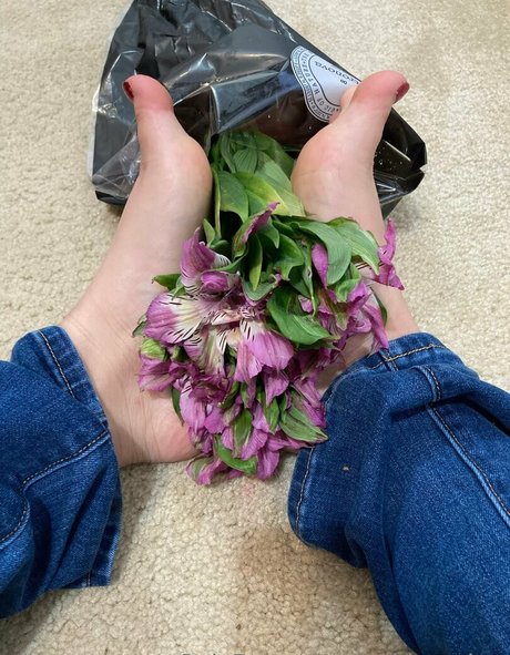 lachleamber estrella del sexo imágenes