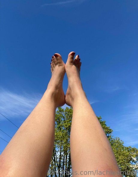 lachleamber estrella agradable fotos