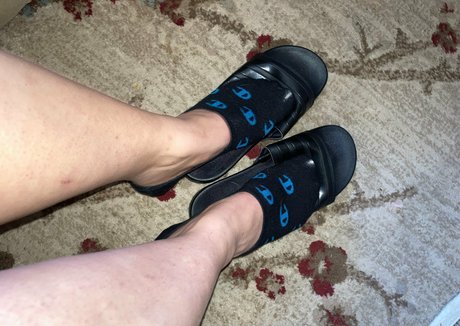 lachleamber estrella de alta calidad recopilación