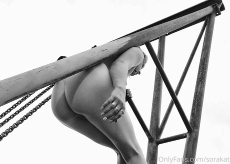 sorakat estrella hermosa galerías