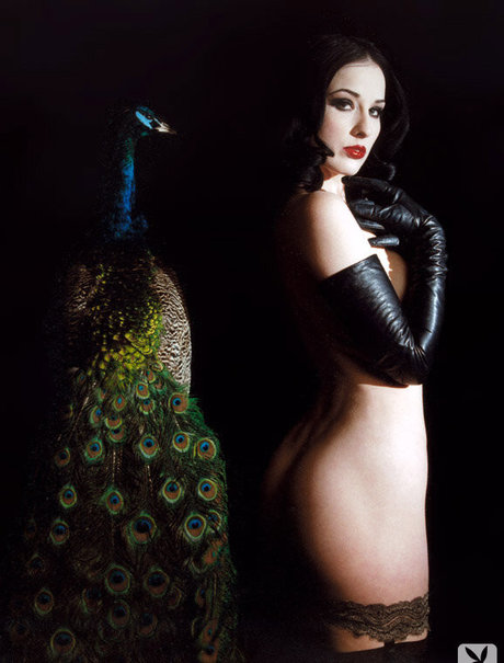 Dita Von Teese estrella libre archivo